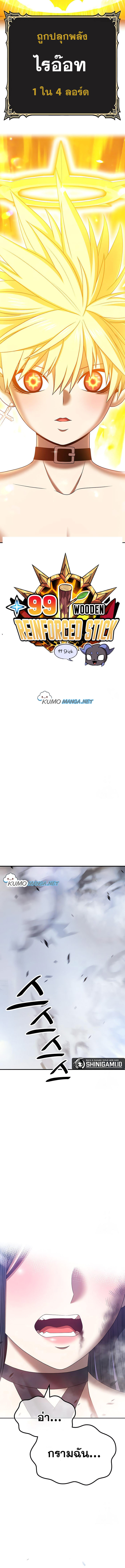 +99 Wooden Stick 53 (2)